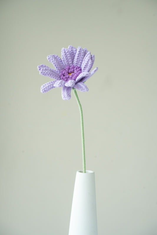 Purple Gerbera