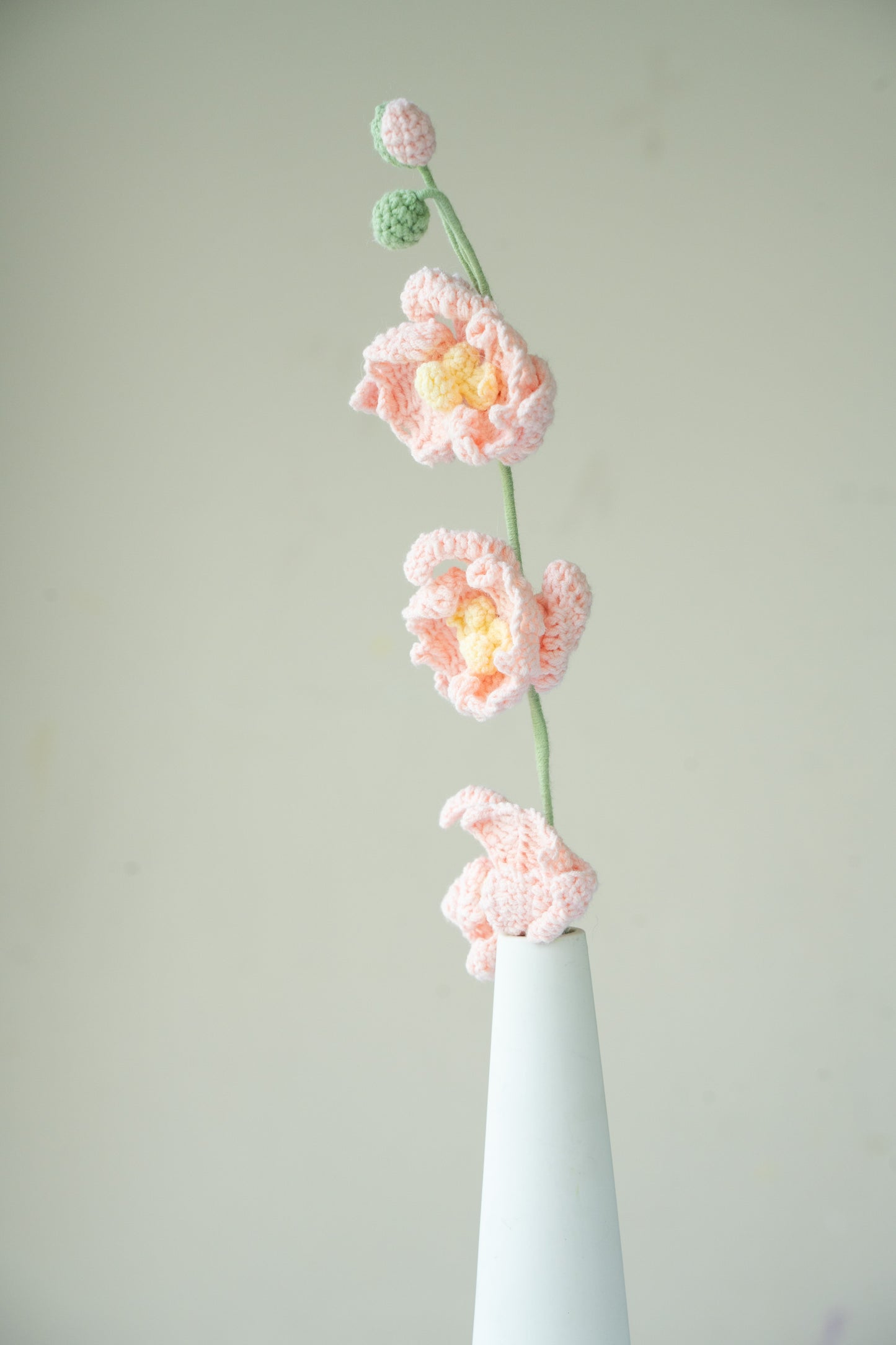 Pink Moth Orchid