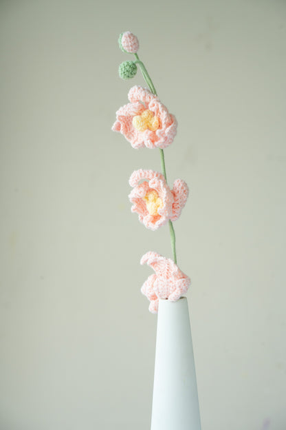 Pink Moth Orchid
