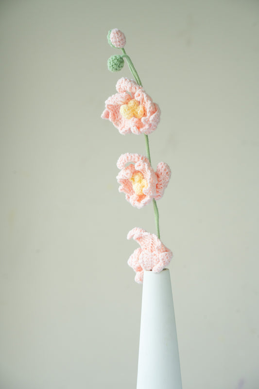 Pink Moth Orchid