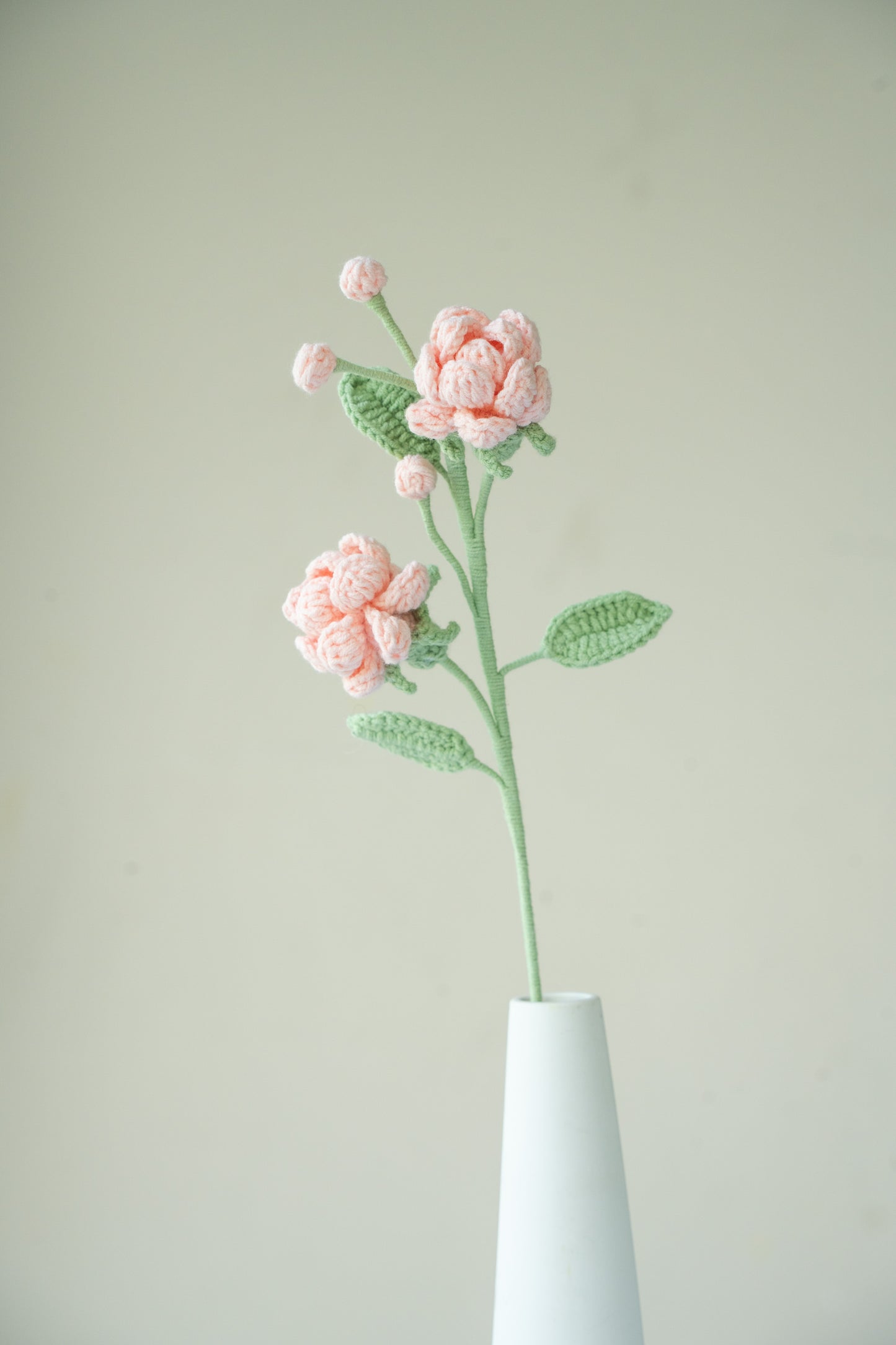 Pink Jasmine