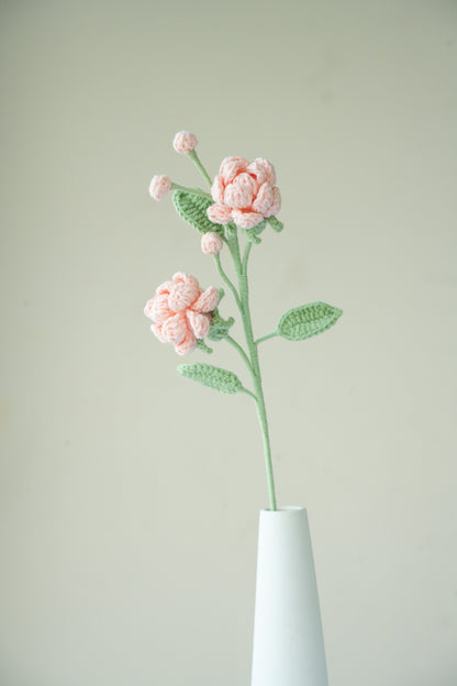 Pink Jasmine