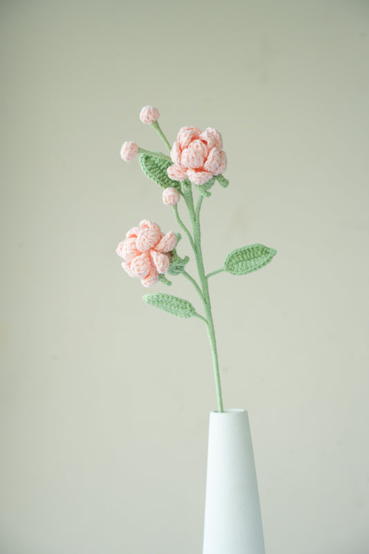 Pink Jasmine