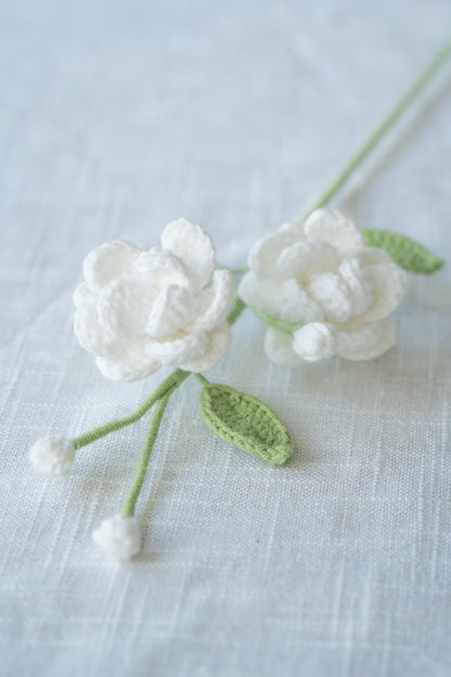 White Jasmine