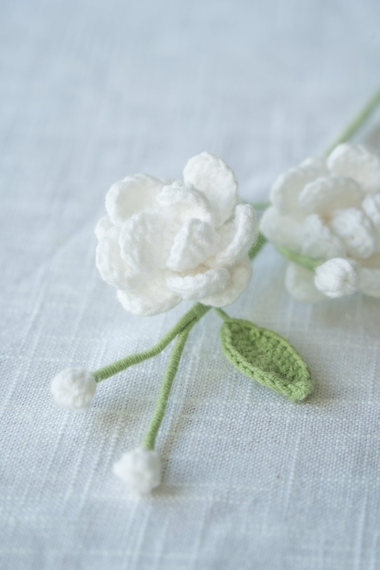 White Jasmine