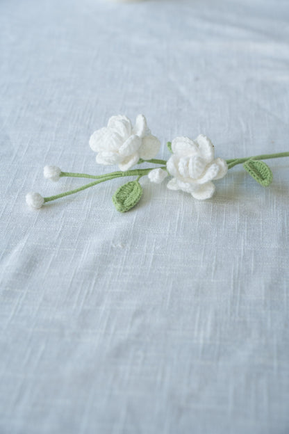 White Jasmine