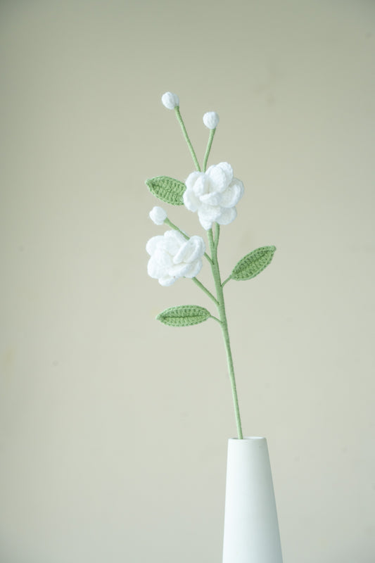 White Jasmine