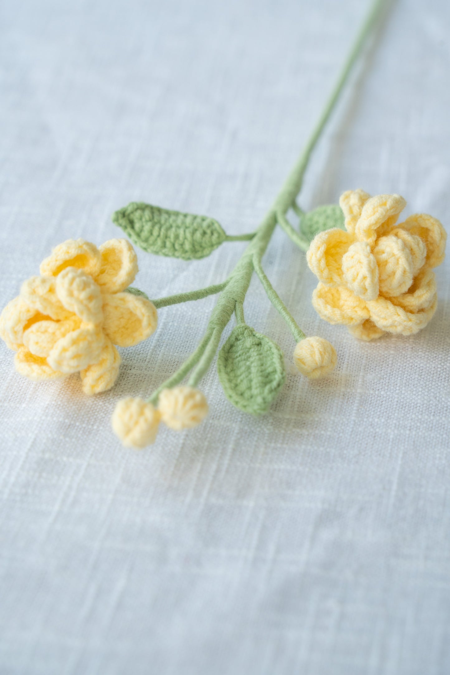 Yellow Jasmine