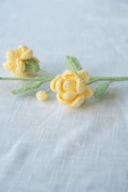 Yellow Jasmine