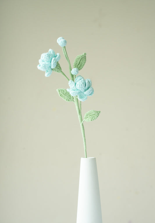 Blue Jasmine