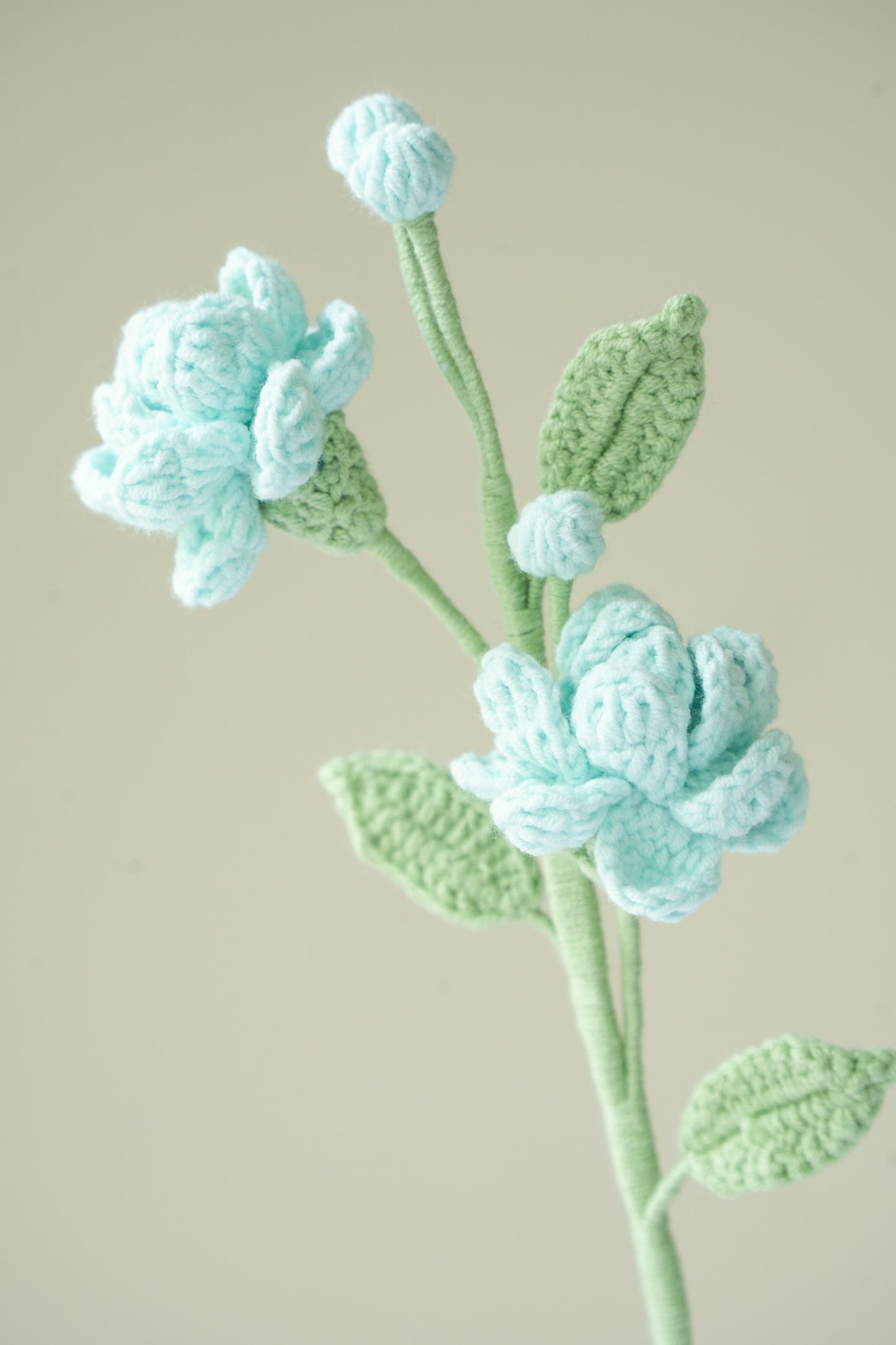 Blue Jasmine
