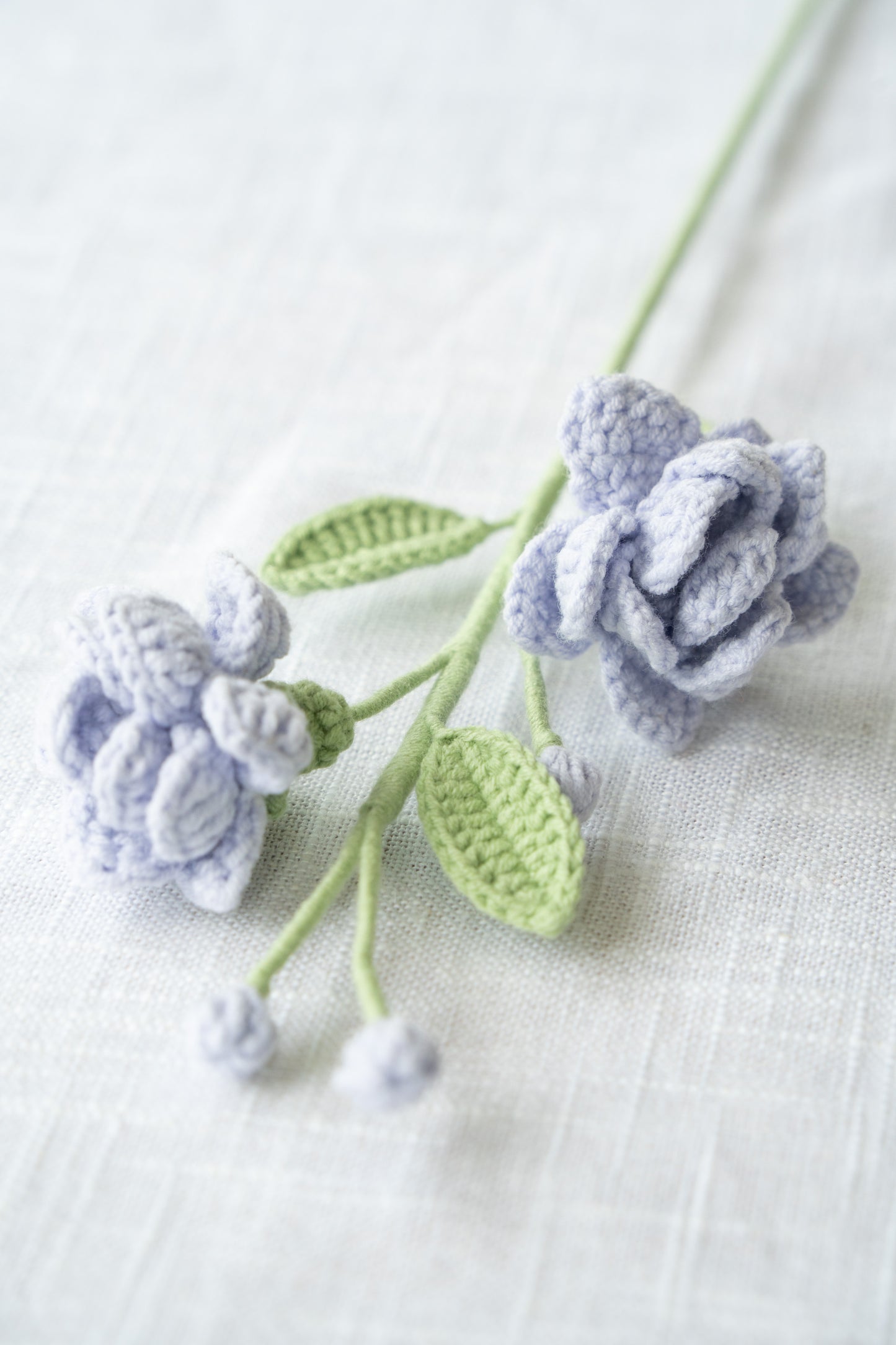 Purple Jasmine