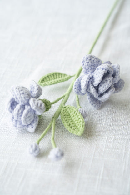 Purple Jasmine