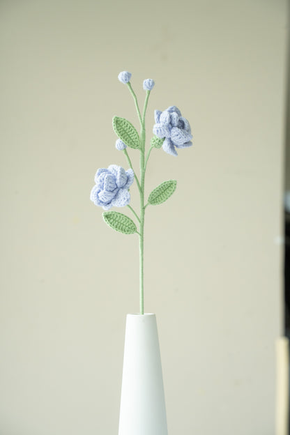Purple Jasmine