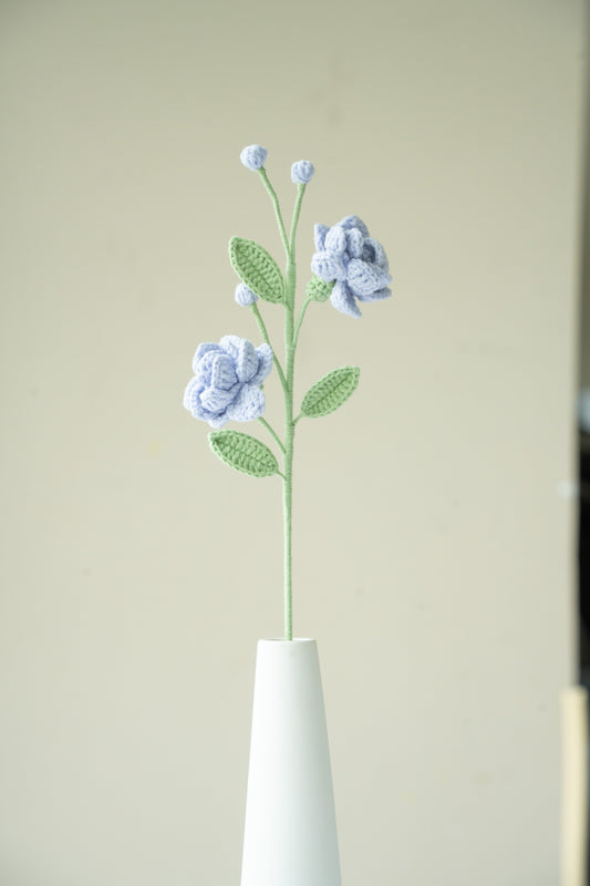 Purple Jasmine