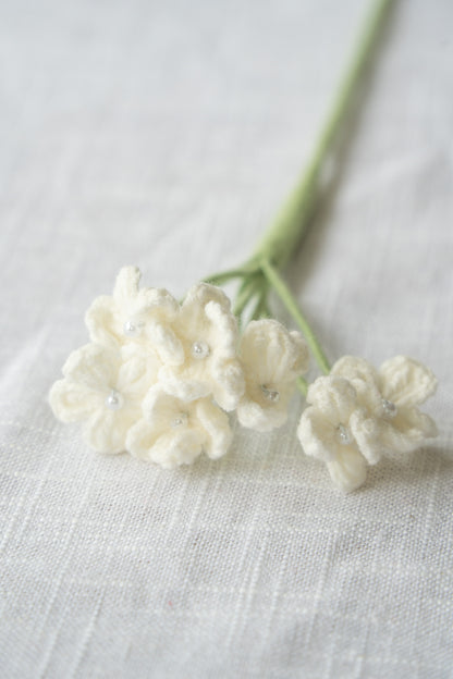 White Baby's Breath