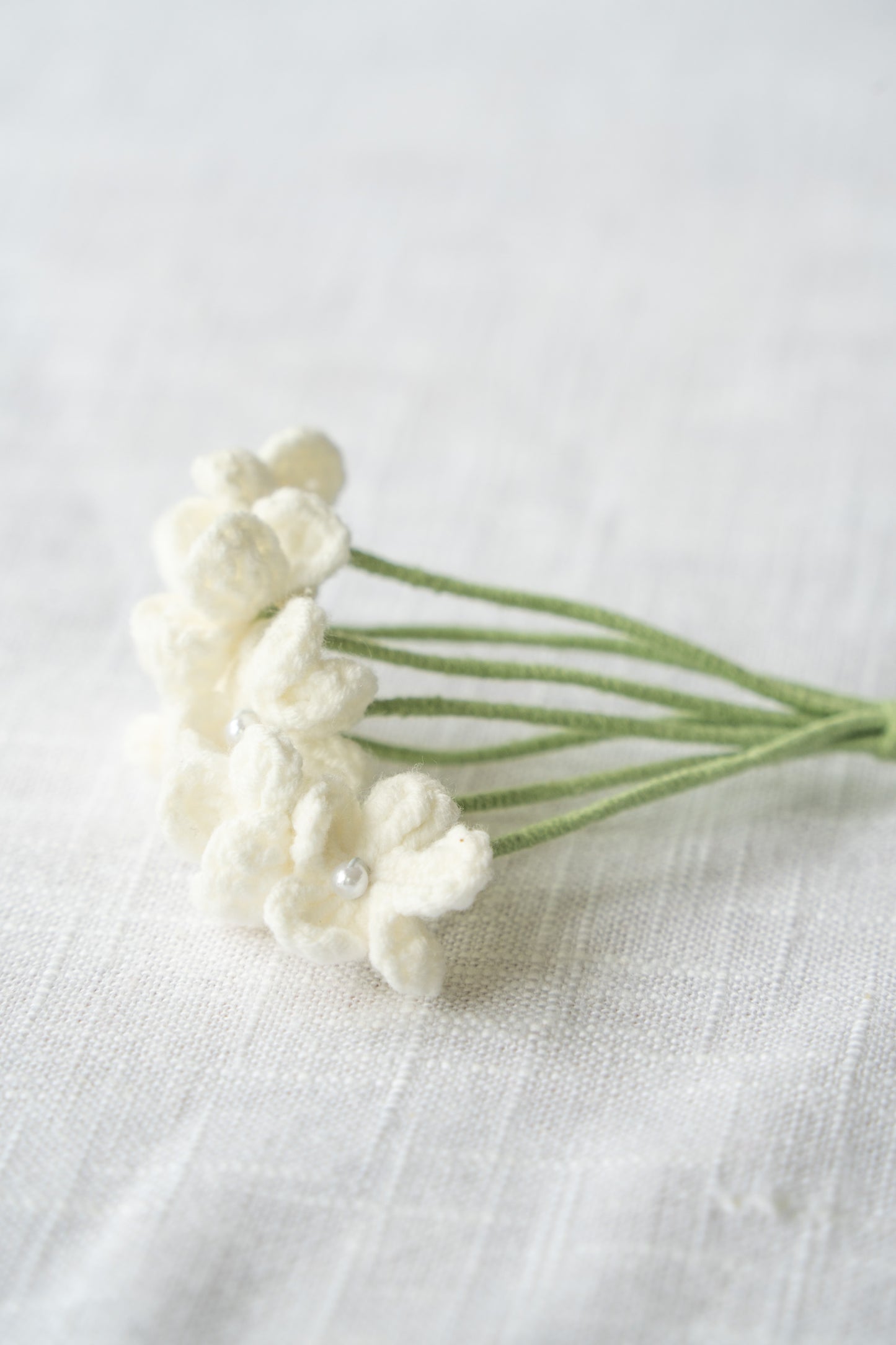 White Baby's Breath