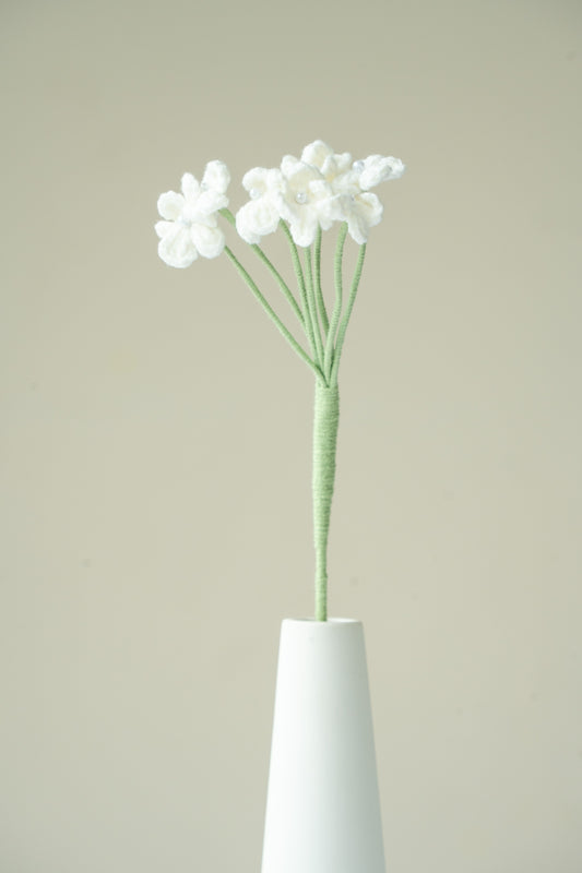 White Baby's Breath