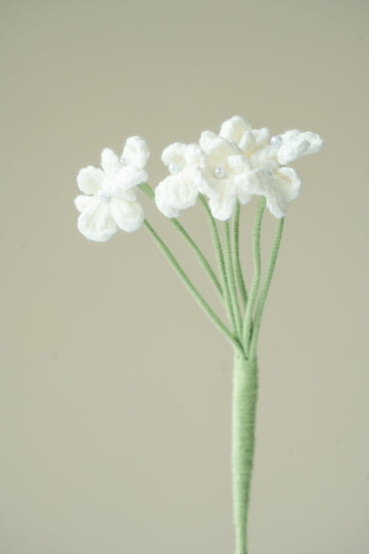 White Baby's Breath
