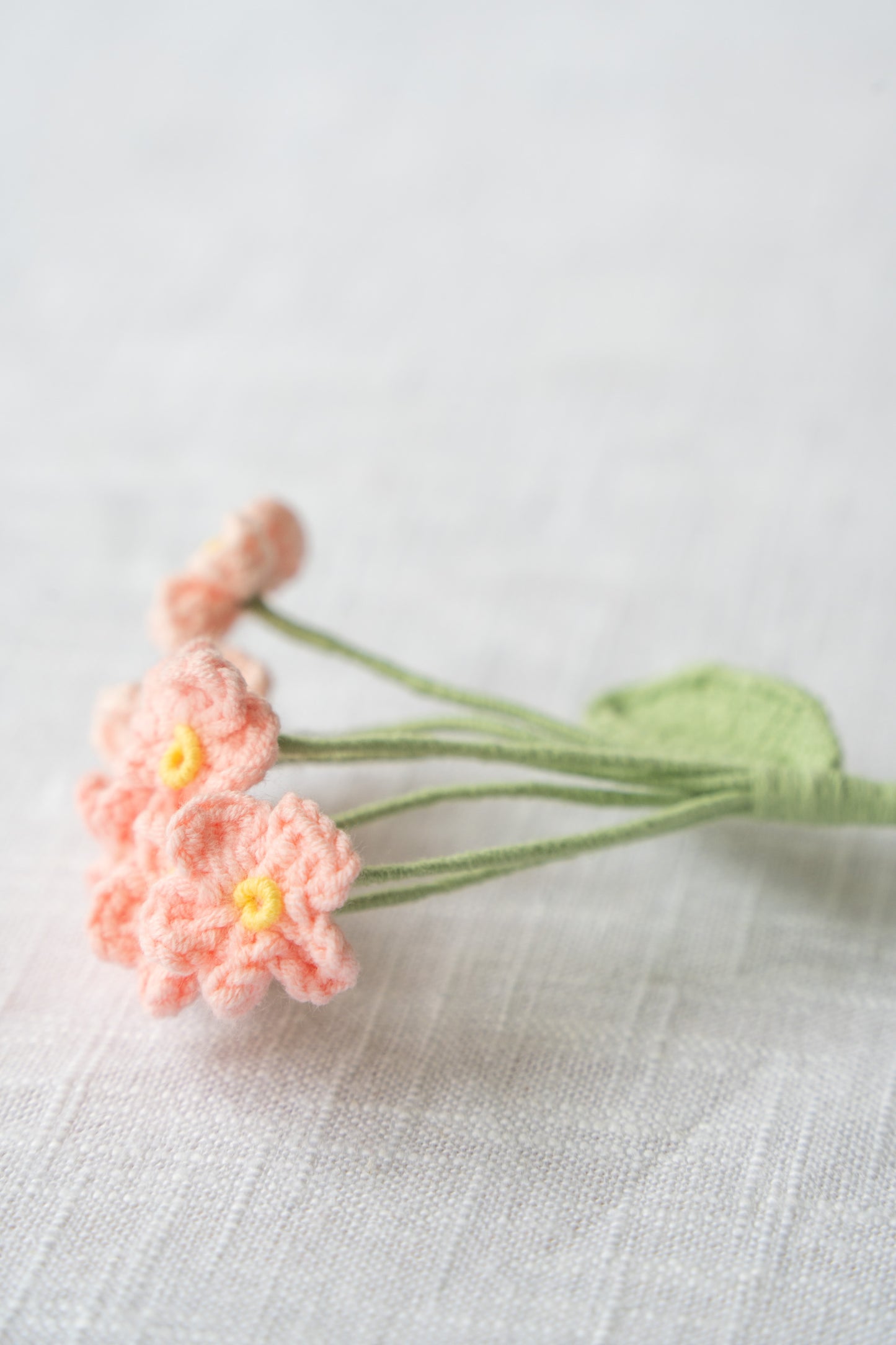 Pink Baby's Breath