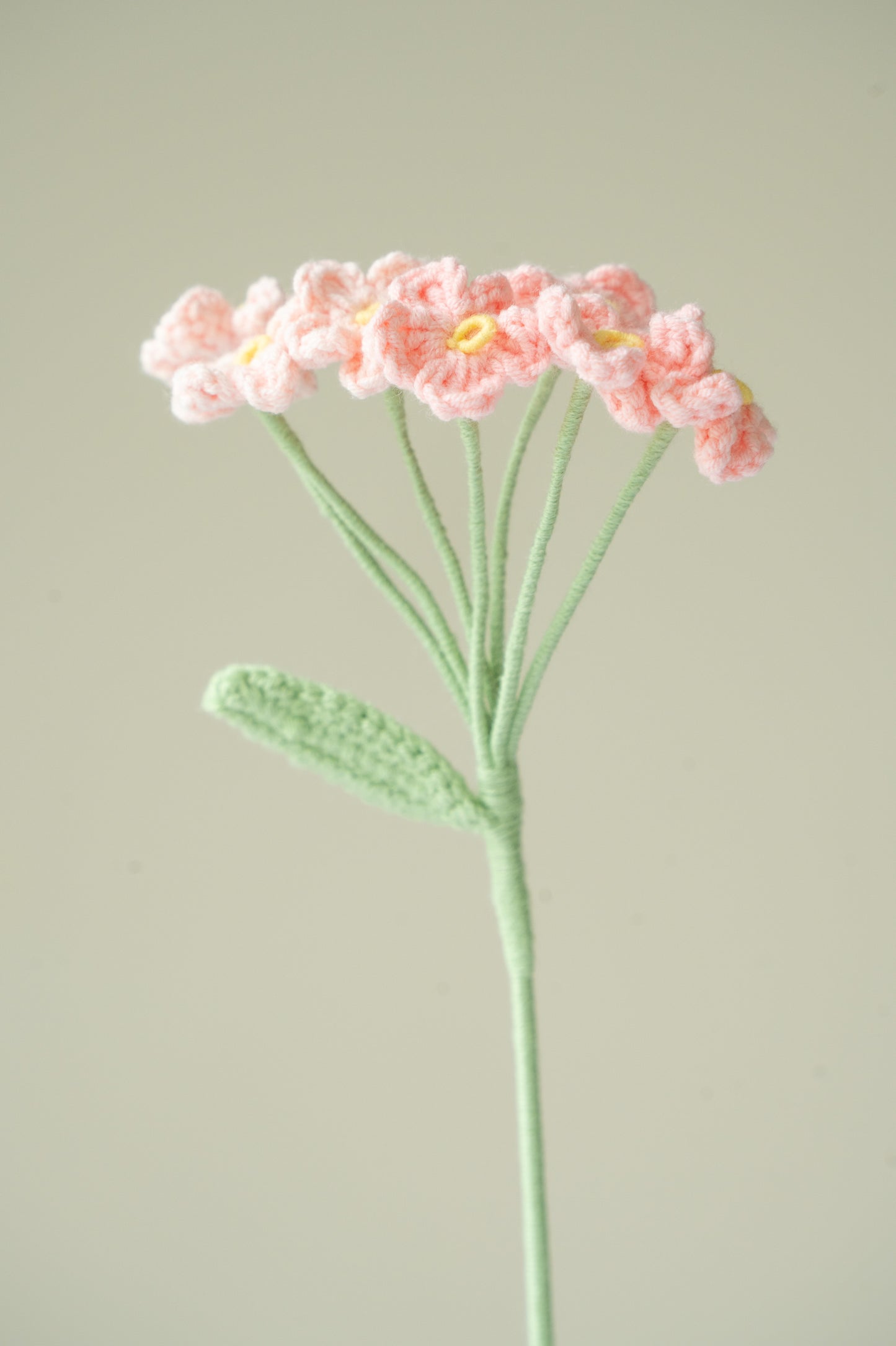 Pink Baby's Breath