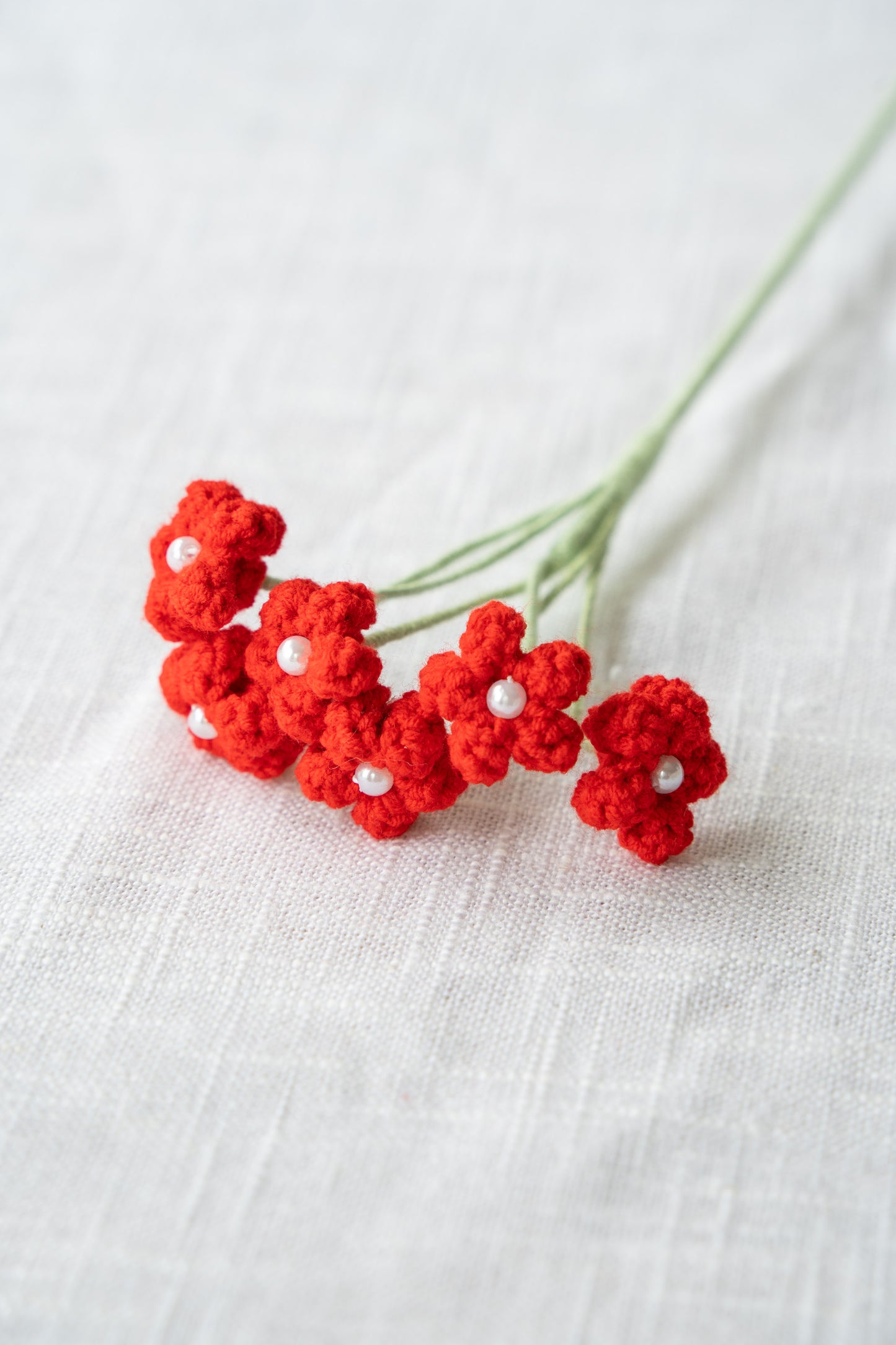 Red Baby's Breath