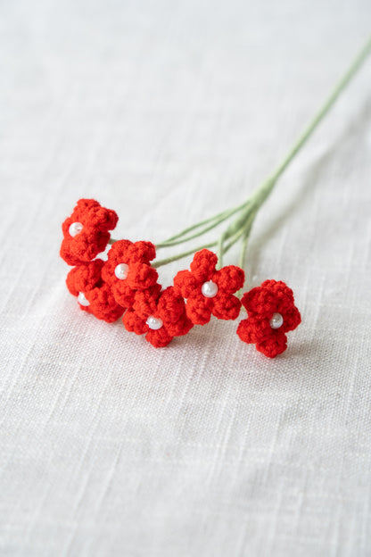 Red Baby's Breath