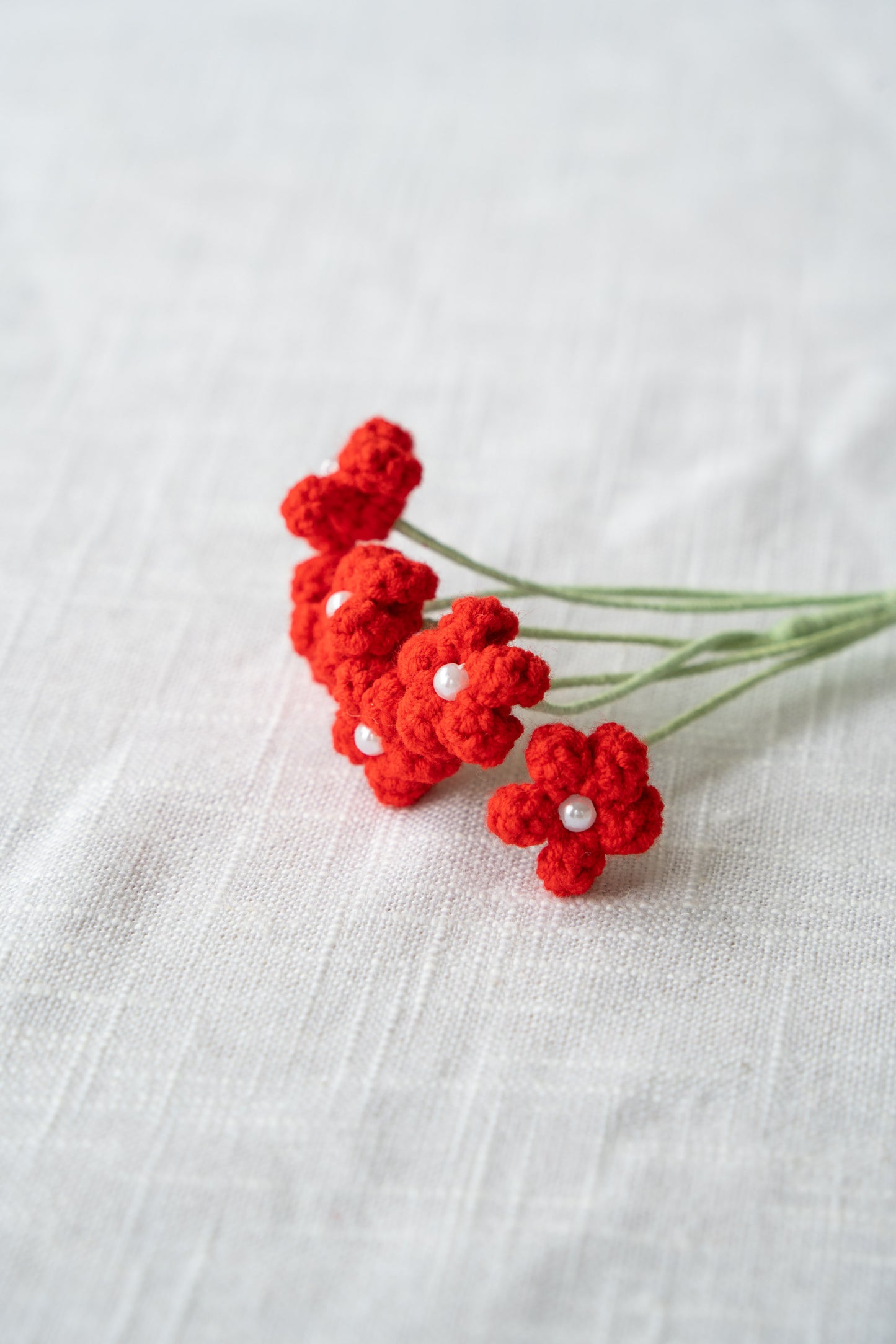 Red Baby's Breath