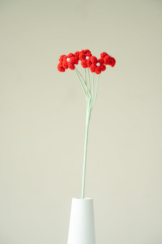 Red Baby's Breath
