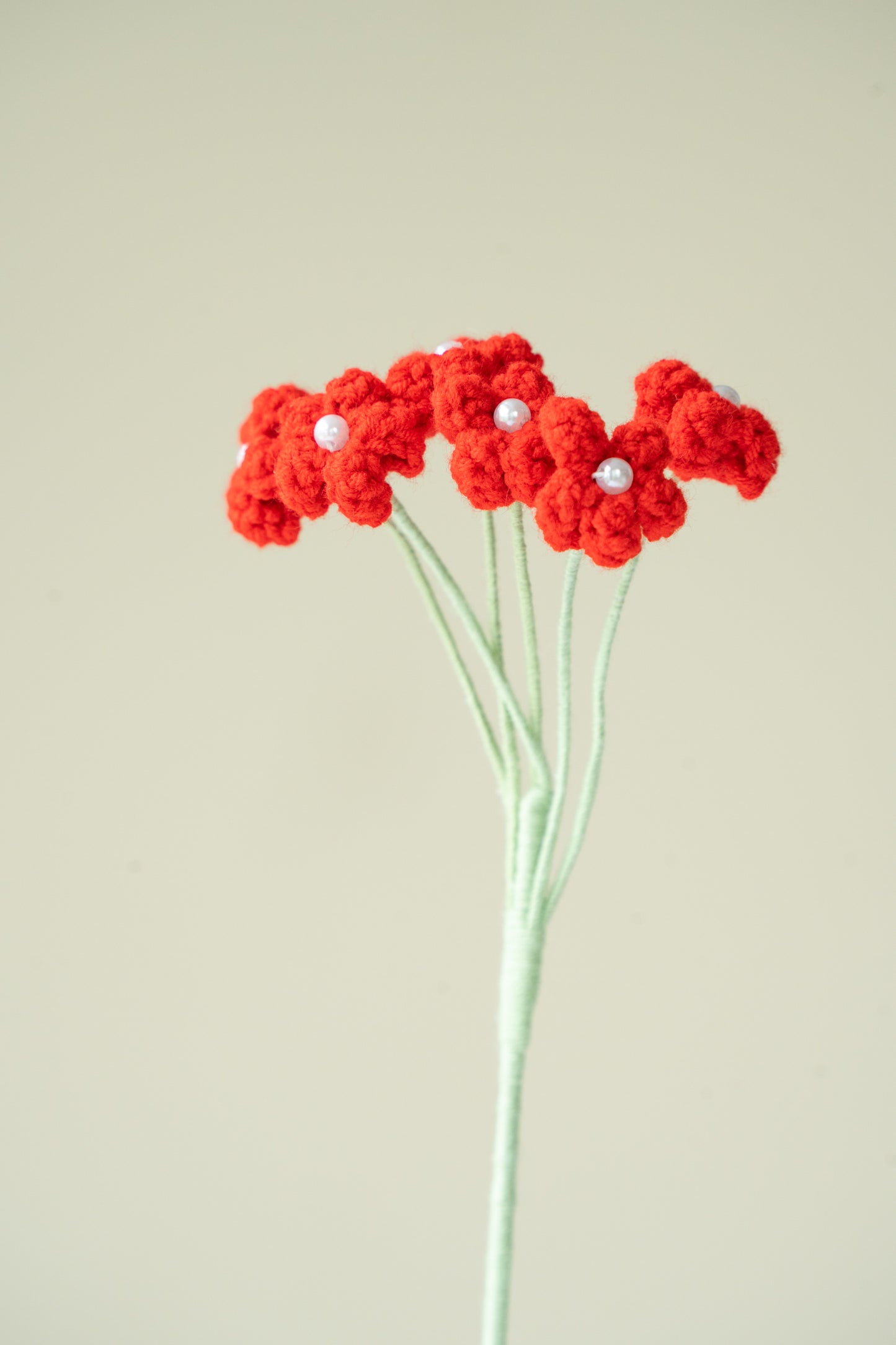Red Baby's Breath