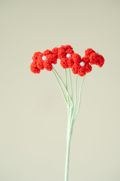 Red Baby's Breath