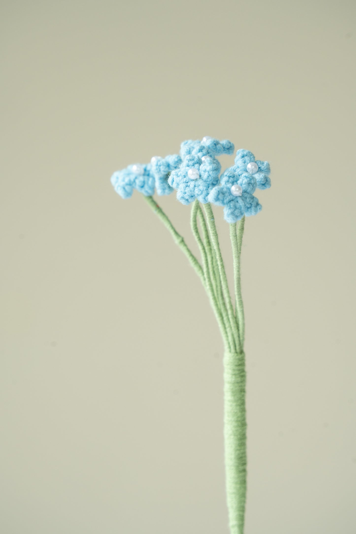Blue Baby's Breath