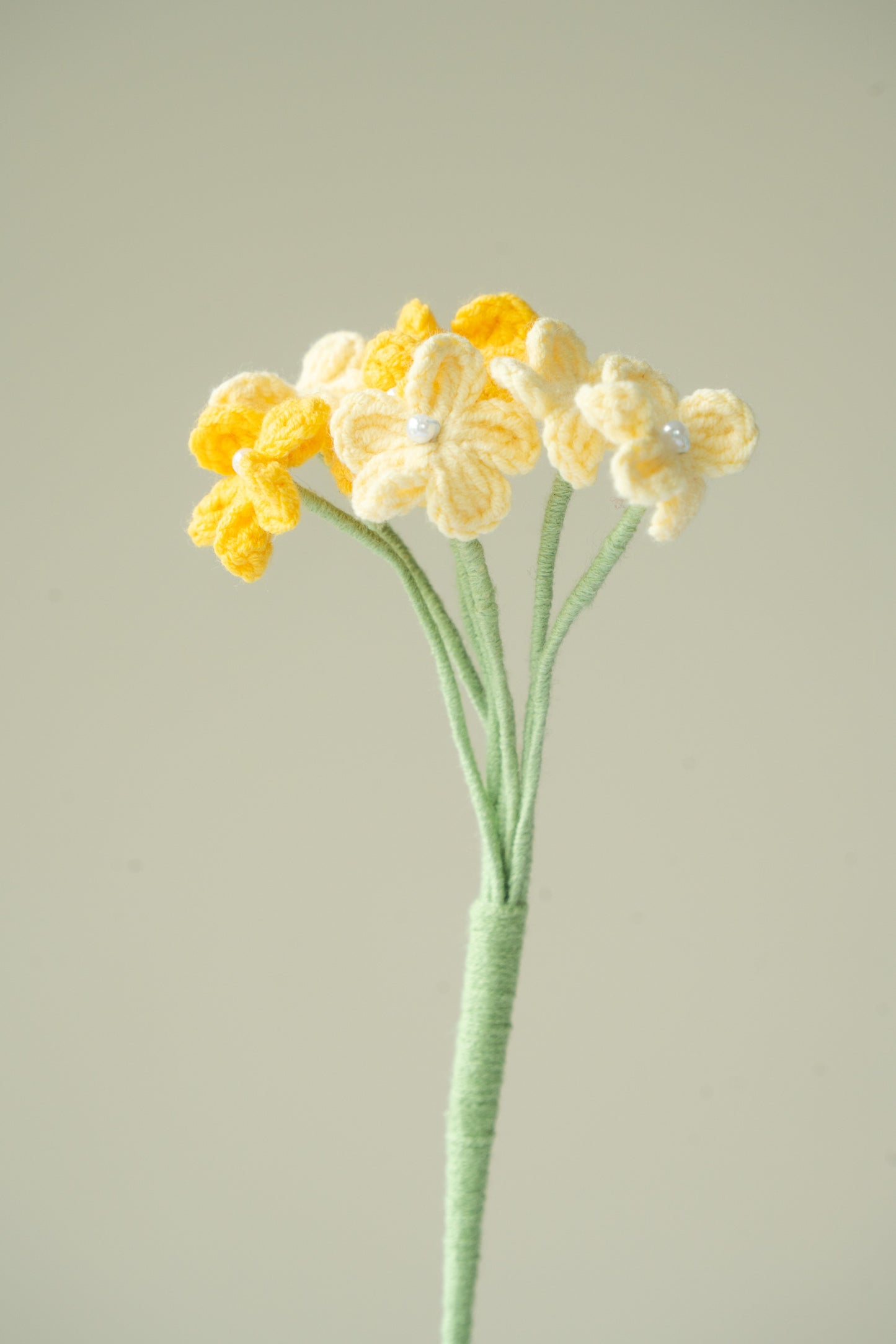 Yellow Baby's Breath