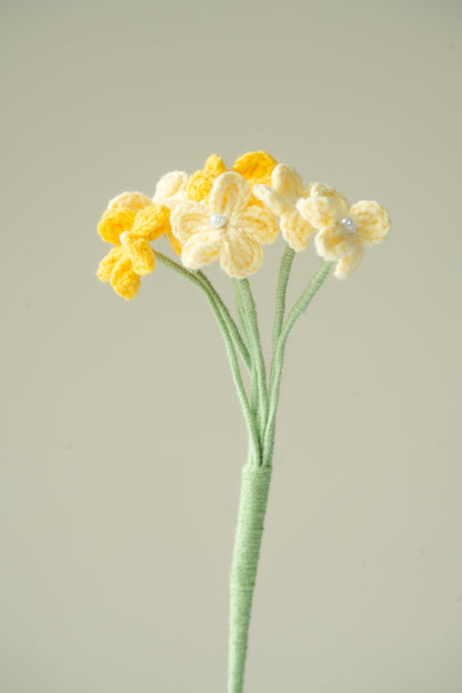 Yellow Baby's Breath