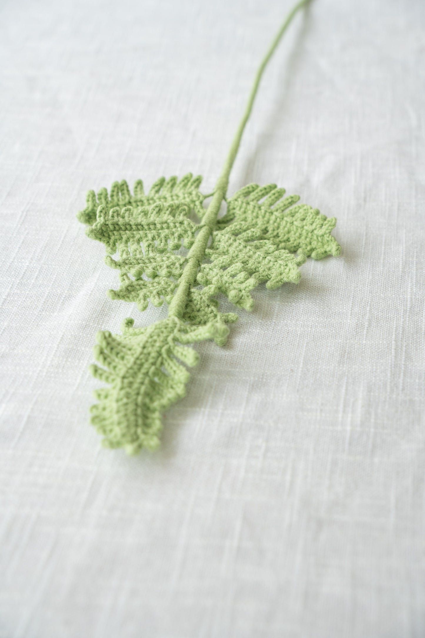Fern Frond