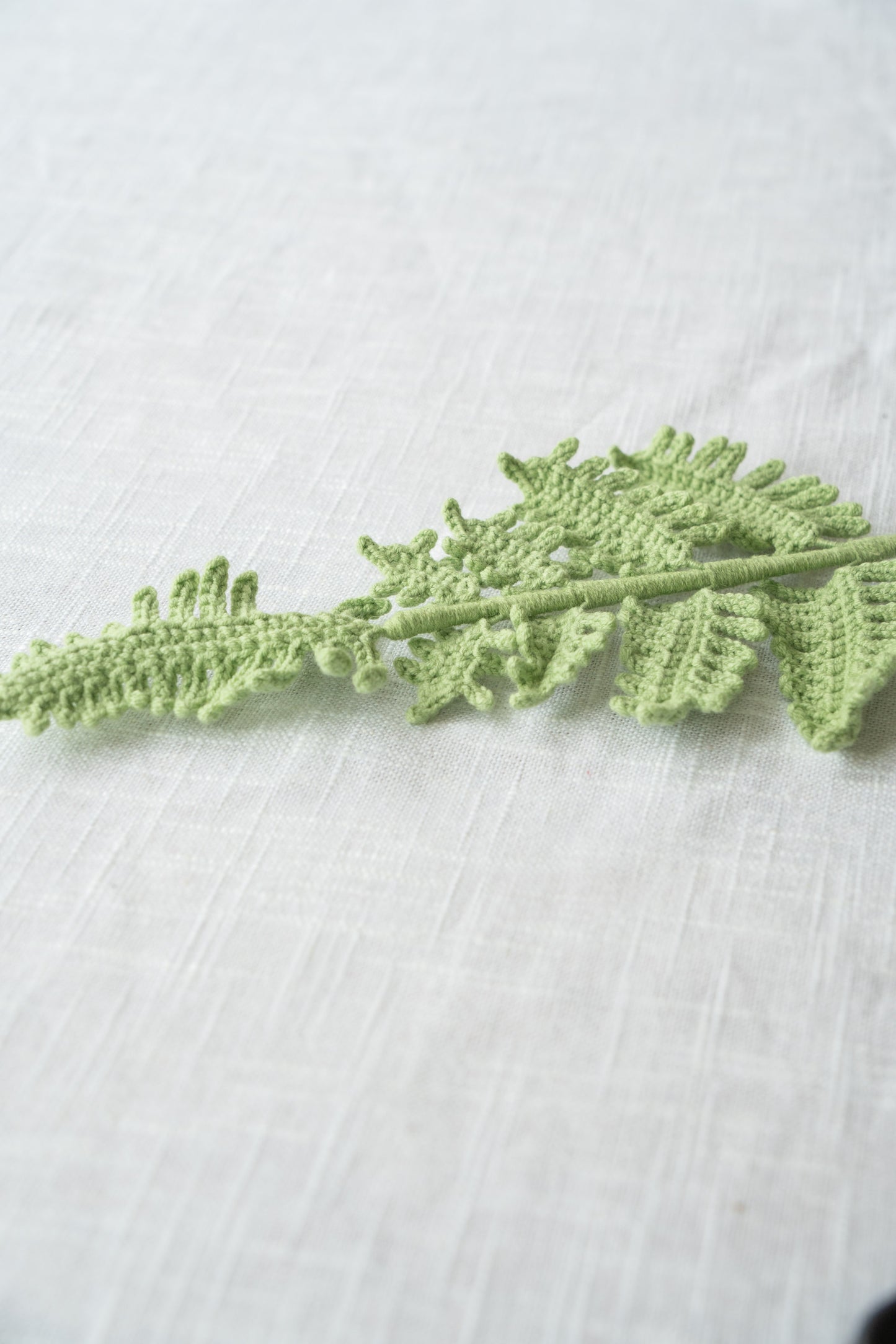 Fern Frond
