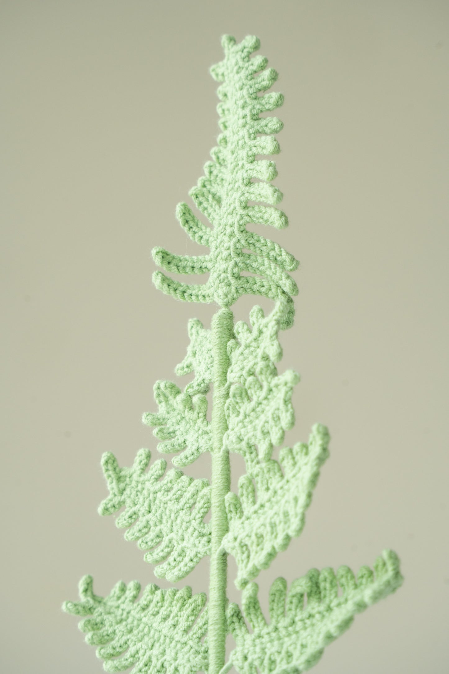 Fern Frond