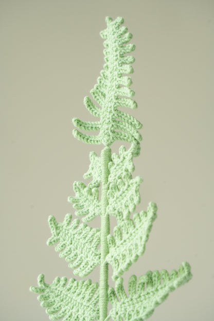 Fern Frond