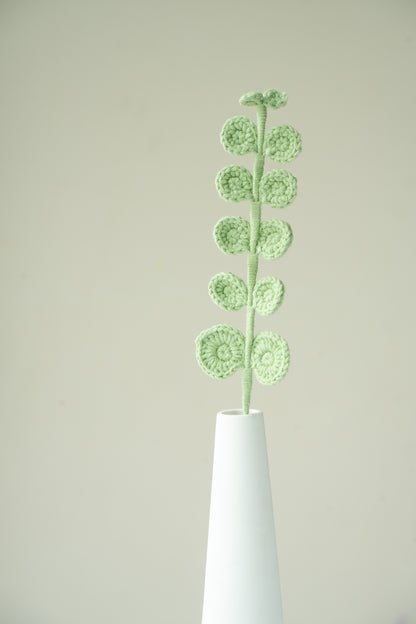 Eucalyptus