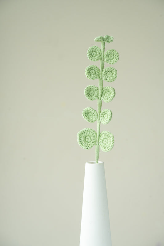 Eucalyptus