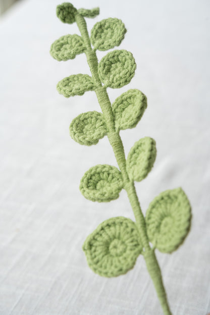 Eucalyptus
