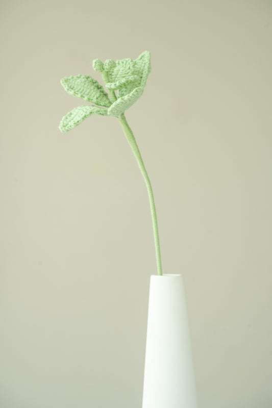 Mint