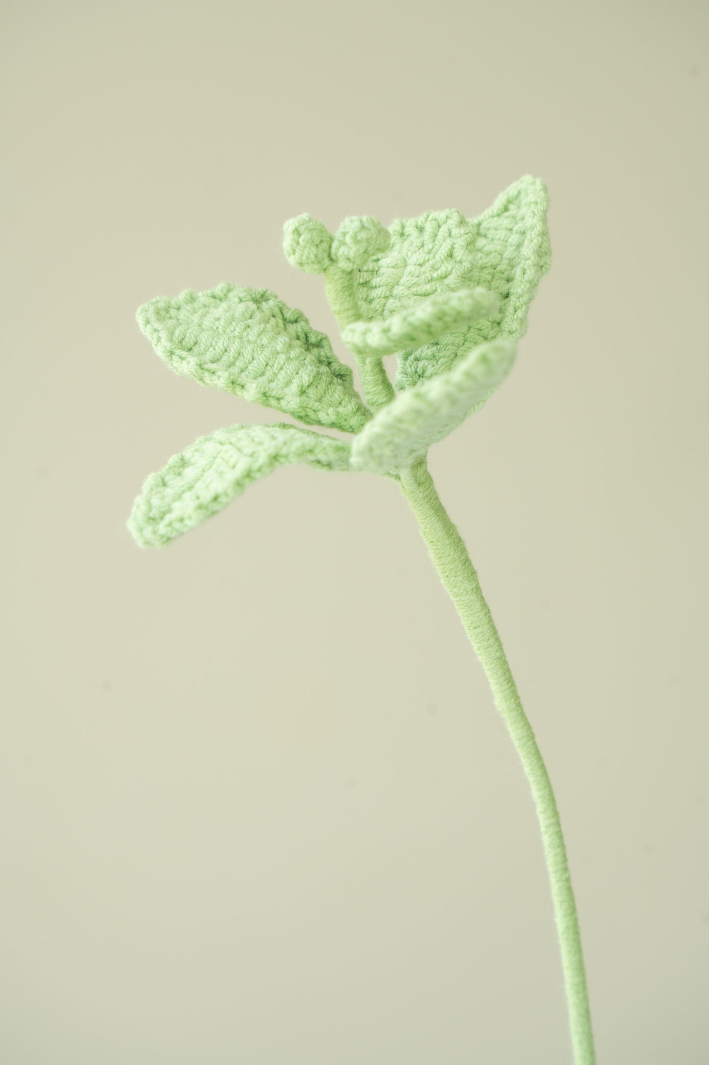 Mint