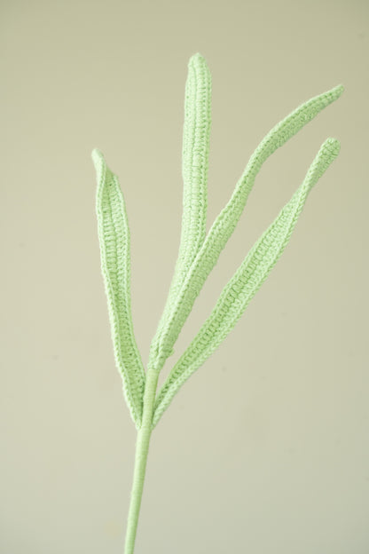 Longbracted Cymbidium