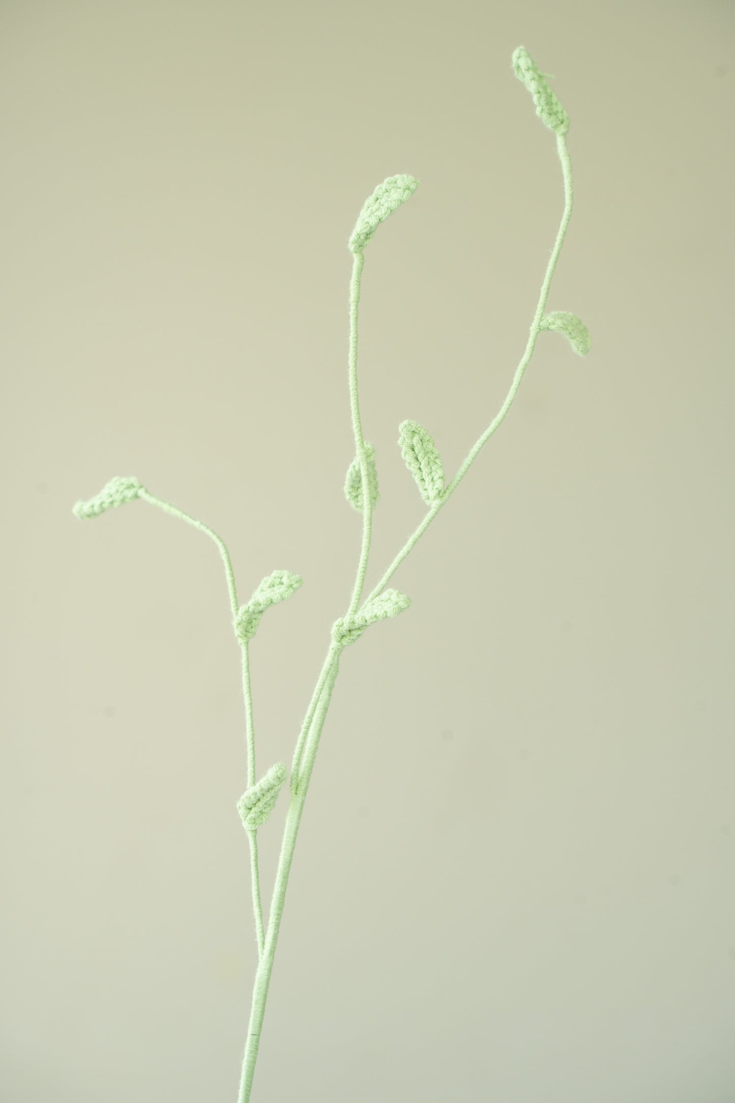 Wild Oats