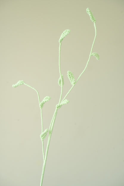 Wild Oats