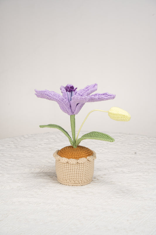 purple lily
