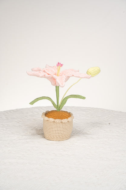 pink lily