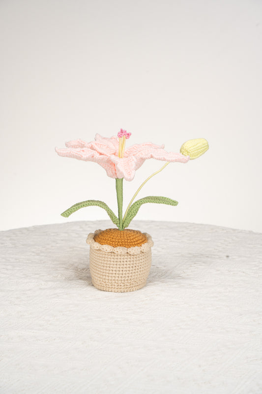 pink lily