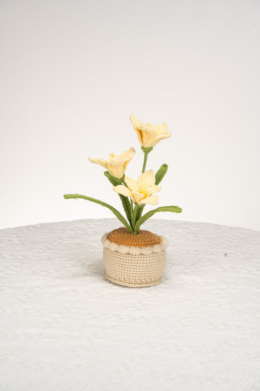 yellow orchid